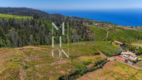 Terreno para Venda em Ponta do Pargo