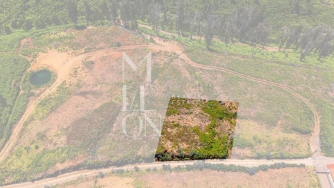 Terreno para Venda em Ponta do Pargo