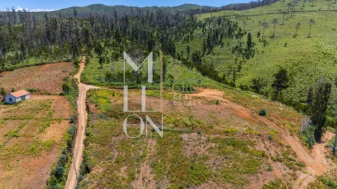 Terreno para Venda em Ponta do Pargo