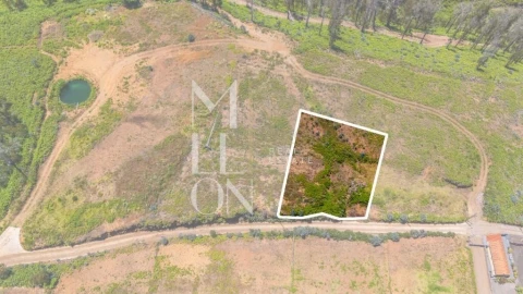 Terreno para Venda em Ponta do Pargo