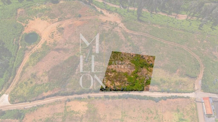 Terreno para Venda em Ponta do Pargo Foto 12