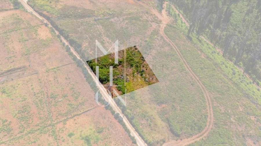 Terreno para Venda em Ponta do Pargo Foto 24