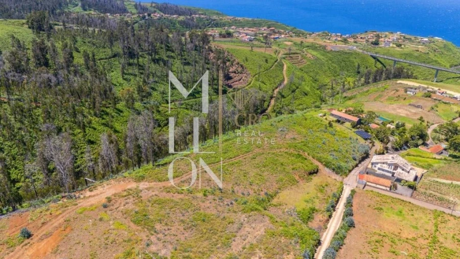 Terreno para Venda em Ponta do Pargo Foto 18