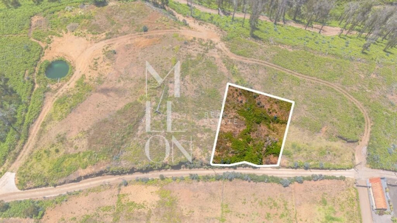 Terreno para Venda em Ponta do Pargo Foto 10