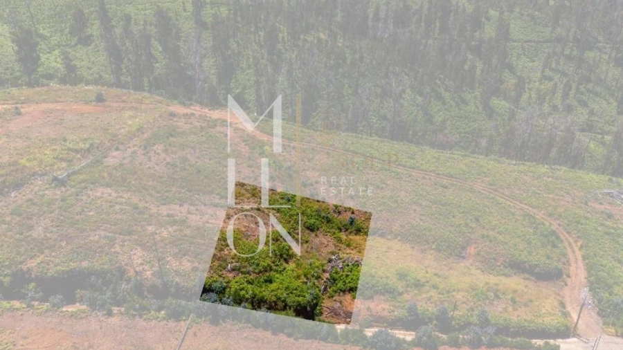 Terreno para Venda em Ponta do Pargo