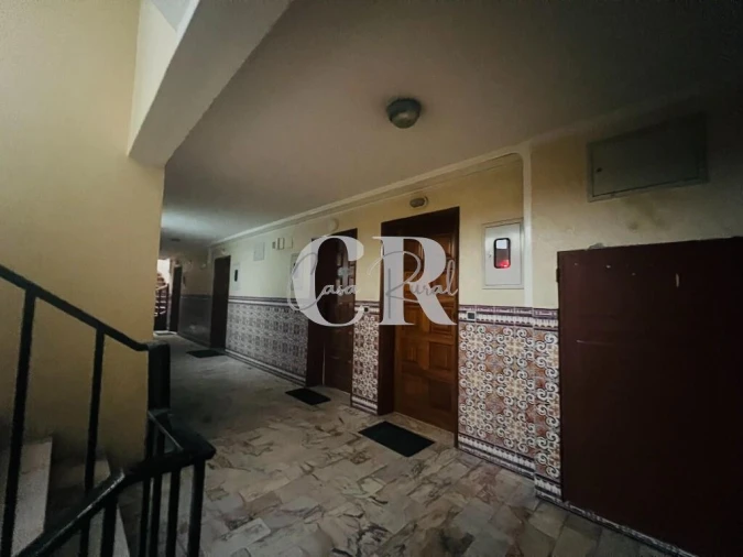 Apartamento T1 para Venda em São Martinho do Bispo e Ribeira de Frades Foto 31
