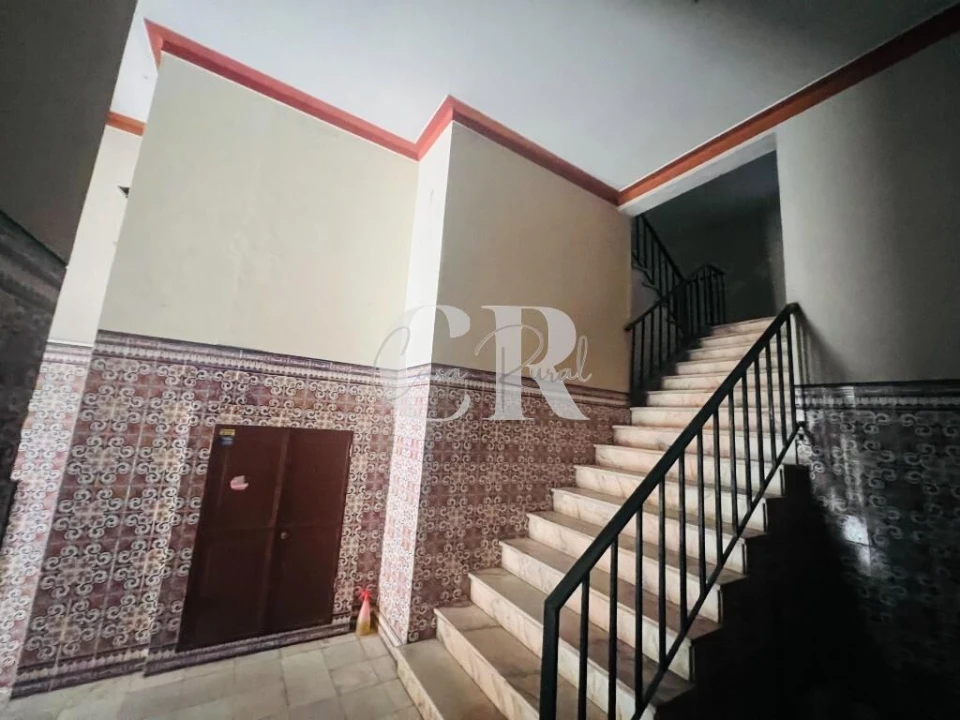Apartamento T1 para Venda em São Martinho do Bispo e Ribeira de Frades Foto 32
