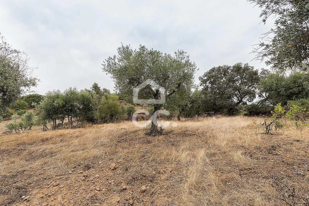 Moradia T2 para Venda em Arez e Amieira do Tejo Foto 34
