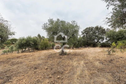 Moradia T2 para Venda em Arez e Amieira do Tejo