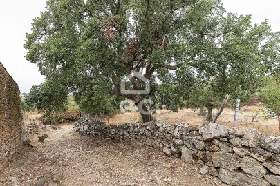 Moradia T2 para Venda em Arez e Amieira do Tejo
