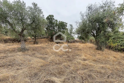 Moradia T2 para Venda em Arez e Amieira do Tejo