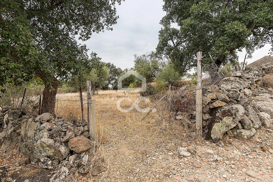 Moradia T2 para Venda em Arez e Amieira do Tejo Foto 30