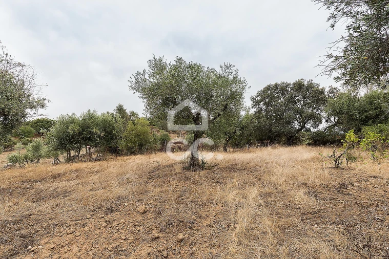 Moradia T2 para Venda em Arez e Amieira do Tejo Foto 34