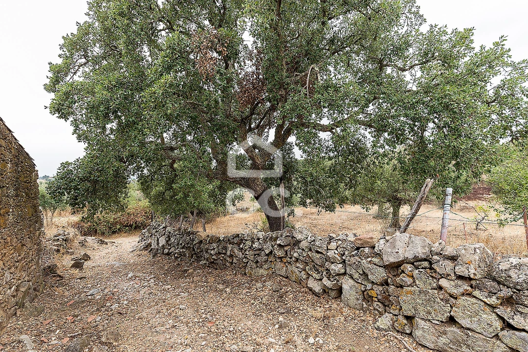 Moradia T2 para Venda em Arez e Amieira do Tejo Foto 28