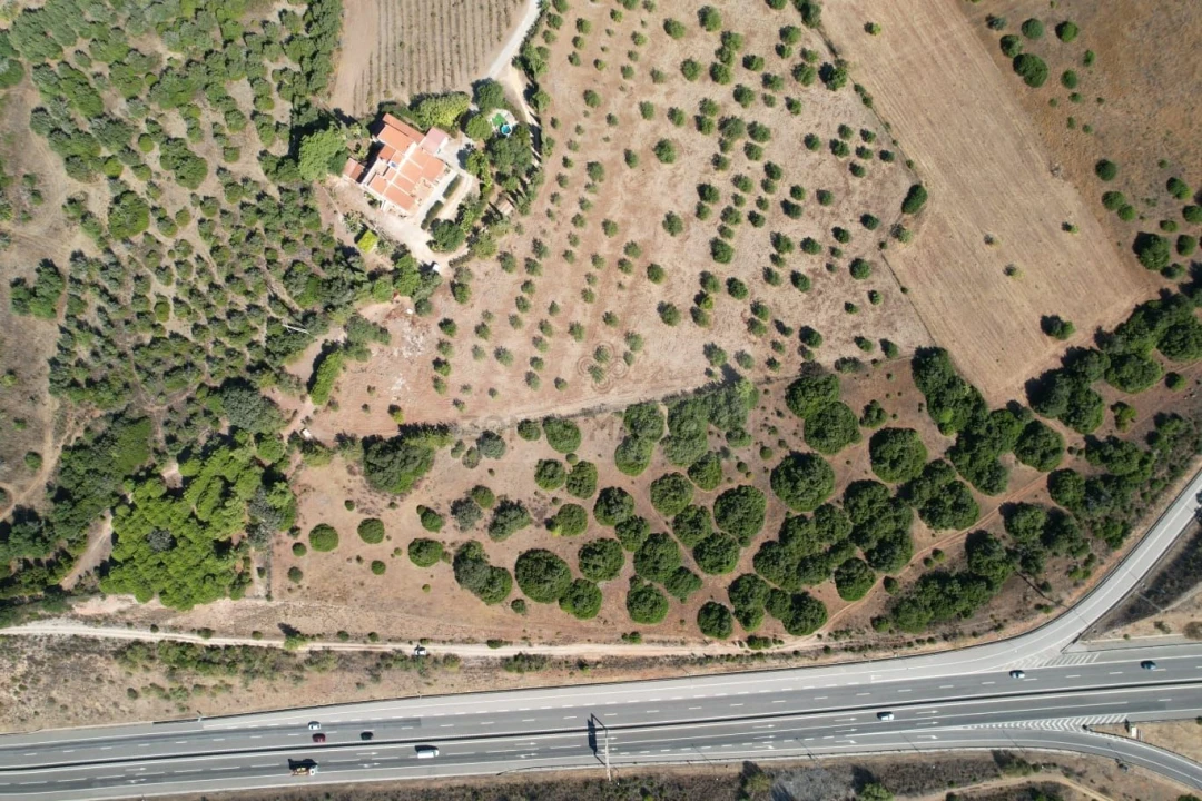 Terreno para Venda em Mexilhoeira Grande Foto 1