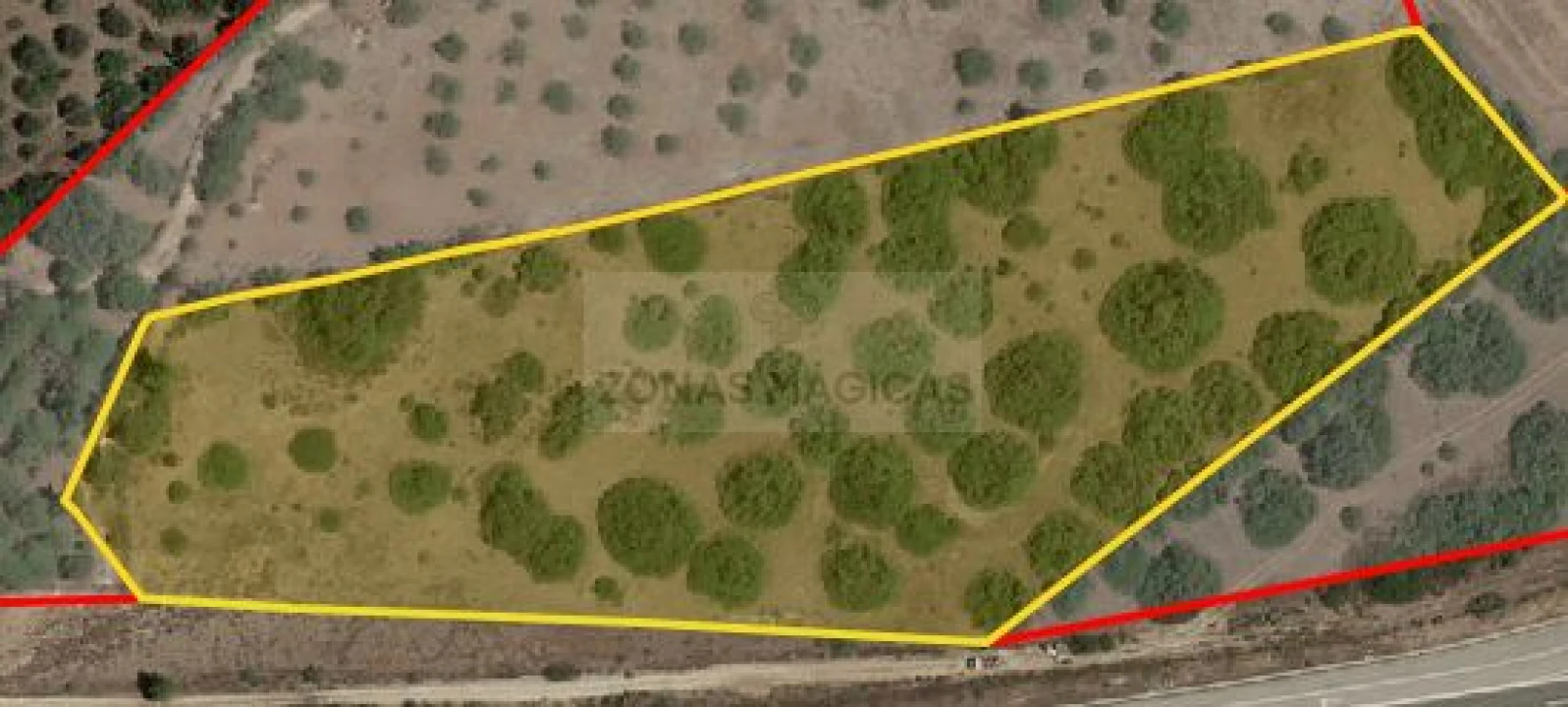 Terreno para Venda em Mexilhoeira Grande Foto 6