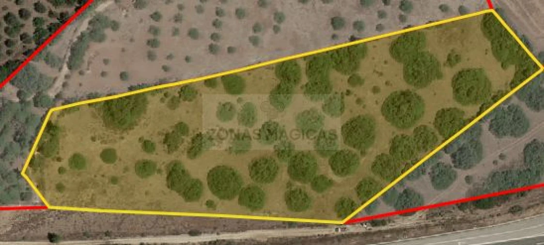 Terreno para Venda em Mexilhoeira Grande Foto 6