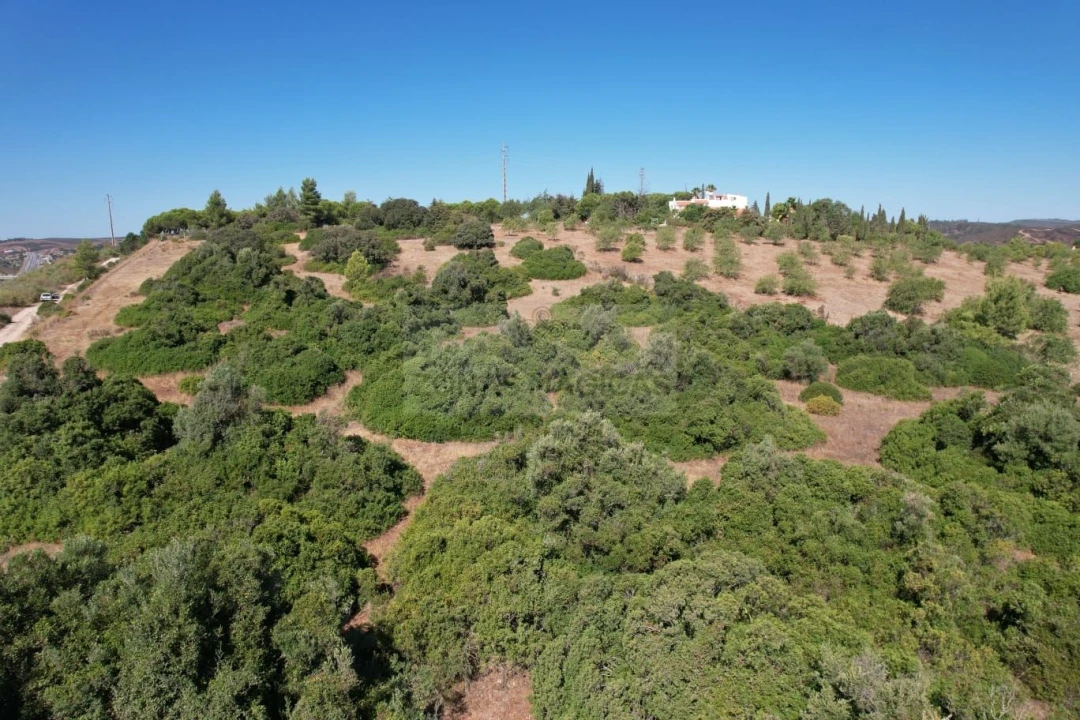 Terreno para Venda em Mexilhoeira Grande Foto 5
