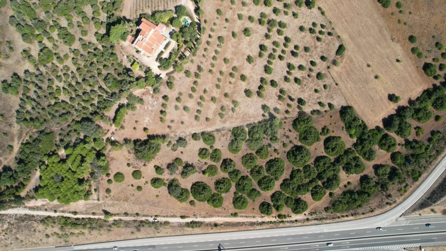 Terreno para Venda em Mexilhoeira Grande