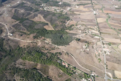 Terreno para Venda em Bordeira