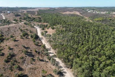 Terreno para Venda em Bordeira