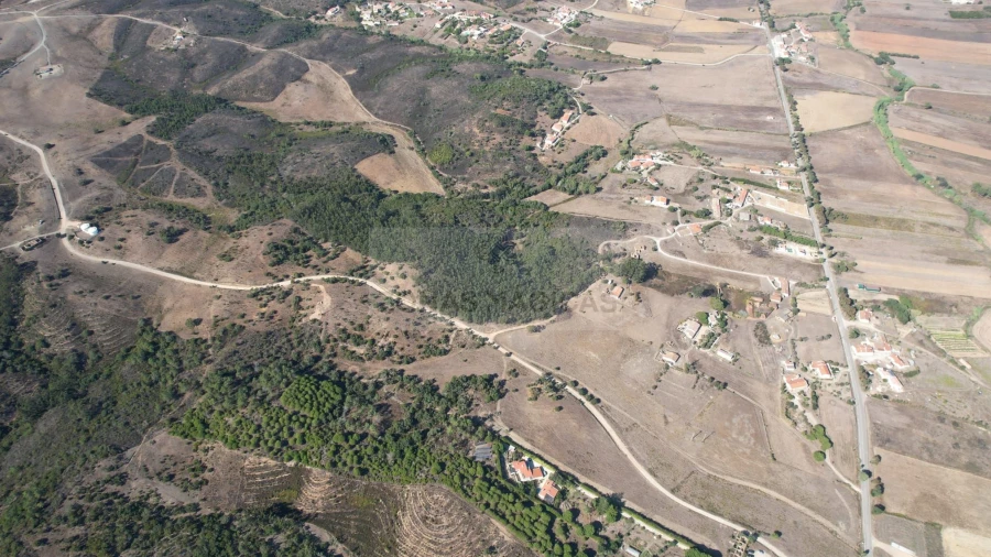 Terreno para Venda em Bordeira