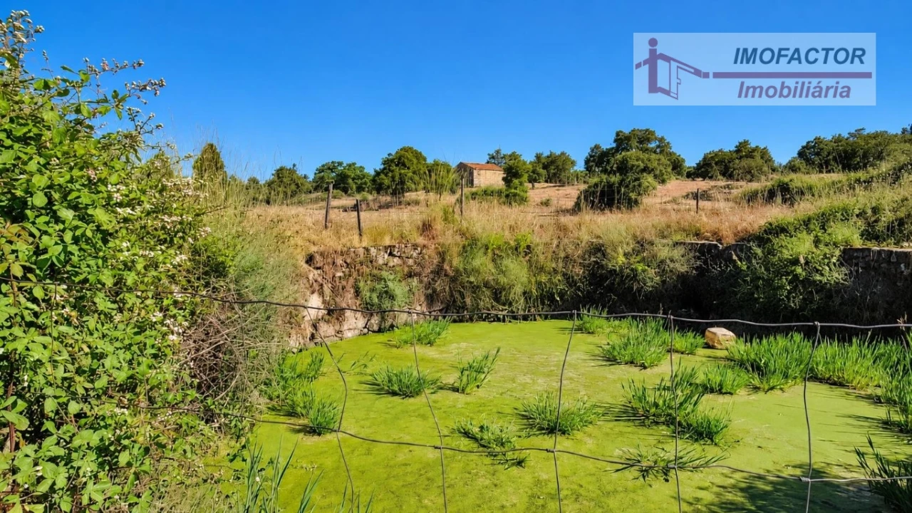 Quinta para Venda em Idanha-A-Nova e Alcafozes Foto 22