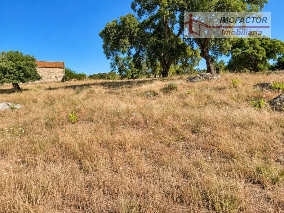 Quinta para Venda em Idanha-A-Nova e Alcafozes Foto 4