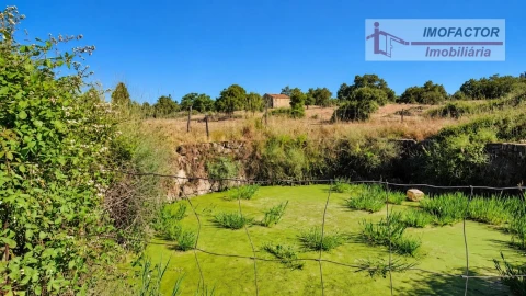 Quinta para Venda em Idanha-A-Nova e Alcafozes