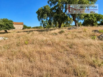 Quinta para Venda em Idanha-A-Nova e Alcafozes