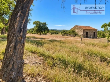 Quinta para Venda em Idanha-A-Nova e Alcafozes