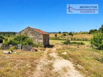 Quinta para Venda em Idanha-A-Nova e Alcafozes