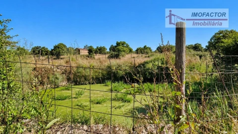 Quinta para Venda em Idanha-A-Nova e Alcafozes
