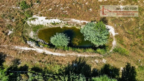 Quinta para Venda em Idanha-A-Nova e Alcafozes