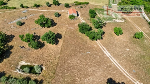 Quinta para Venda em Idanha-A-Nova e Alcafozes