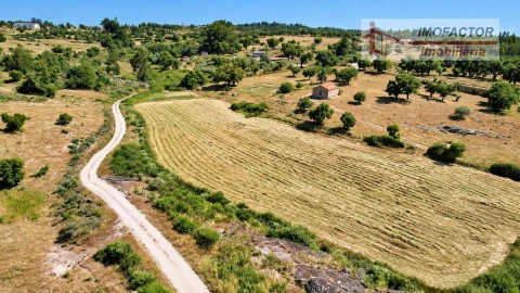 Quinta para Venda em Idanha-A-Nova e Alcafozes