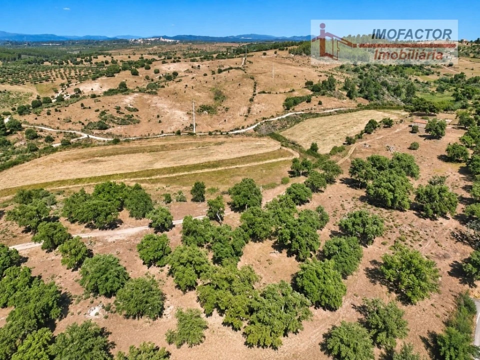 Quinta para Venda em Idanha-A-Nova e Alcafozes Foto 9