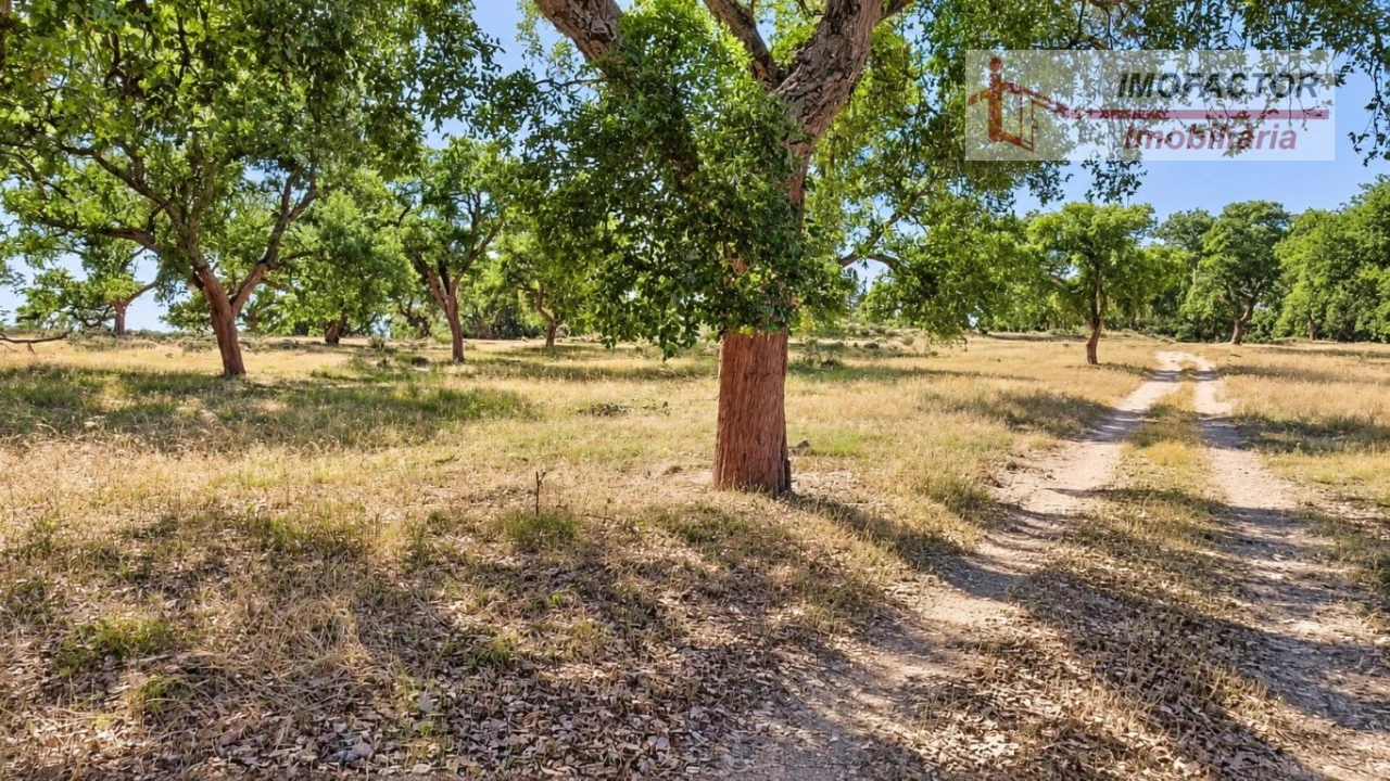 Quinta para Venda em Idanha-A-Nova e Alcafozes Foto 23