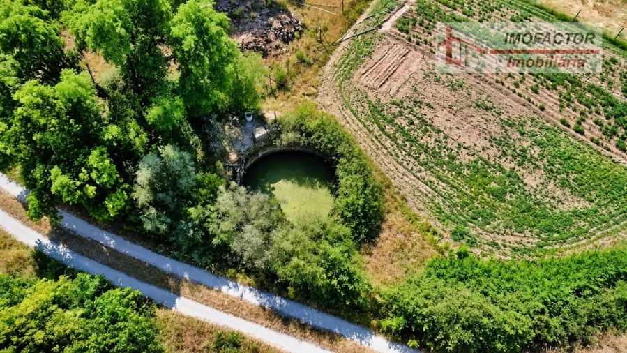 Quinta para Venda em Idanha-A-Nova e Alcafozes Foto 20