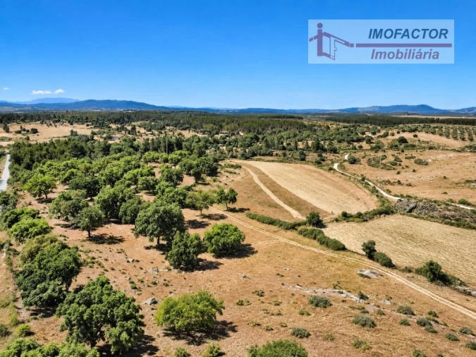 Quinta para Venda em Idanha-A-Nova e Alcafozes Foto 14