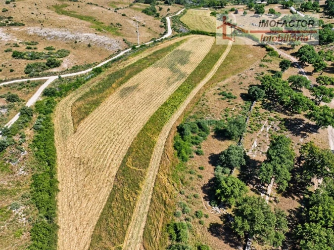 Quinta para Venda em Idanha-A-Nova e Alcafozes Foto 10