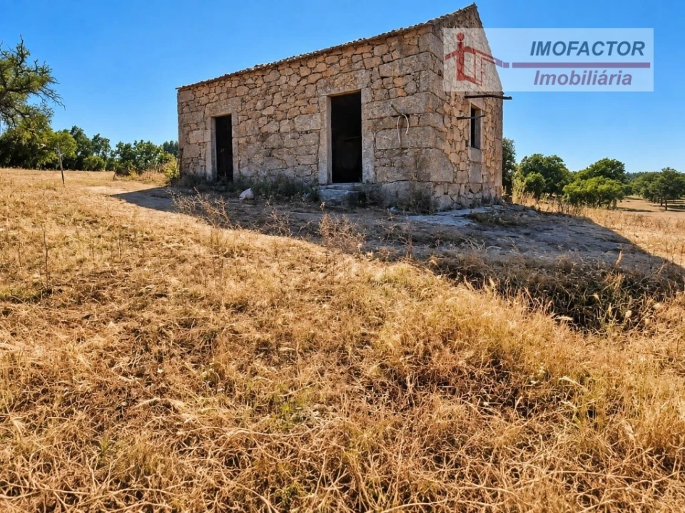 Quinta para Venda em Idanha-A-Nova e Alcafozes Foto 5