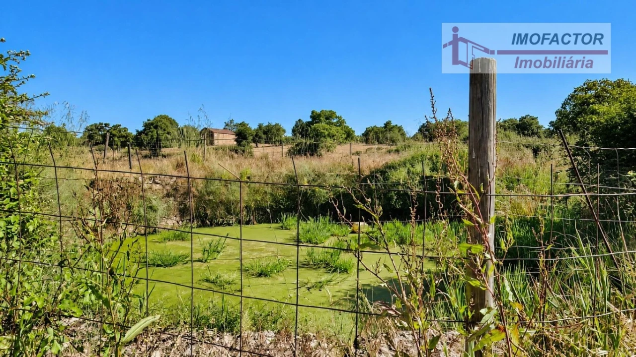 Quinta para Venda em Idanha-A-Nova e Alcafozes Foto 21