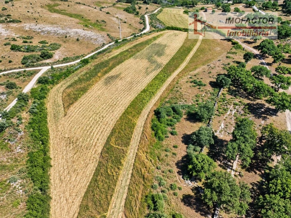 Quinta para Venda em Idanha-A-Nova e Alcafozes Foto 10