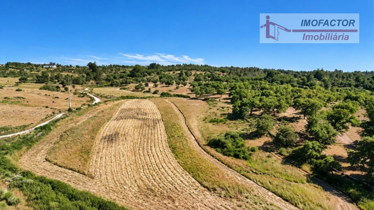 Quinta para Venda em Idanha-A-Nova e Alcafozes Foto 11