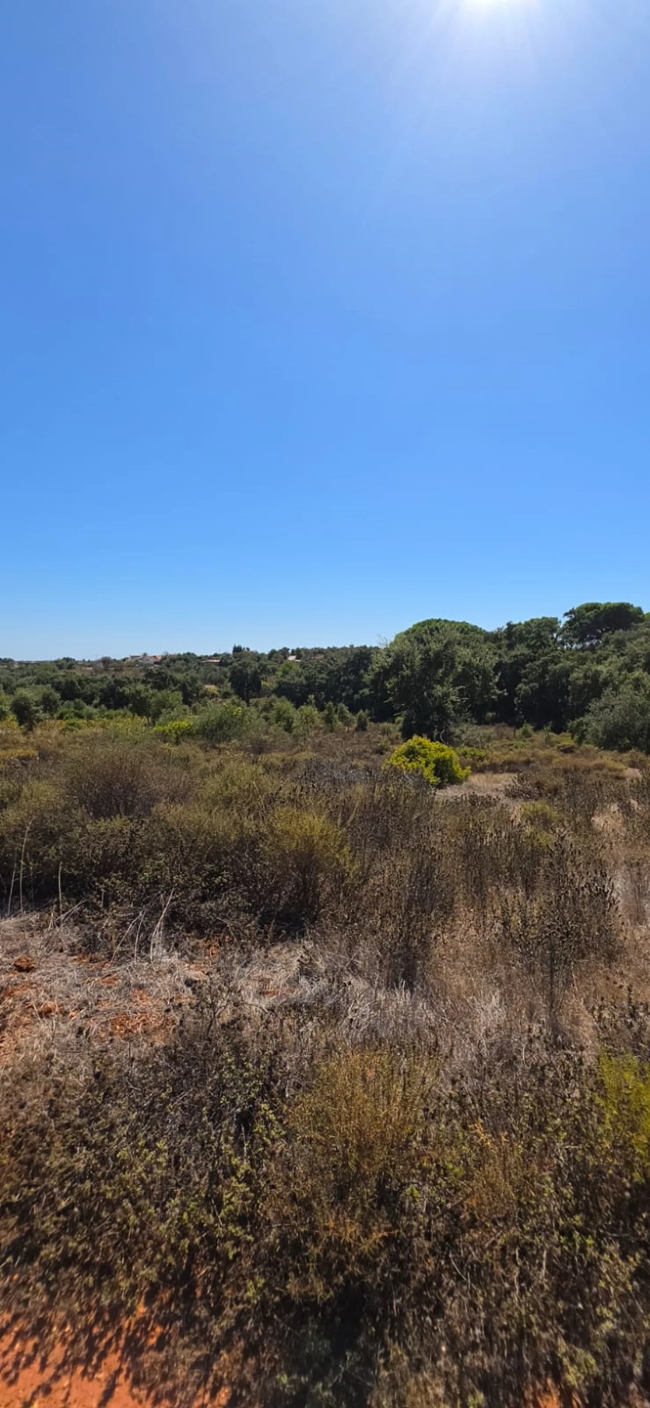 Terreno para Venda em Silves Foto 1