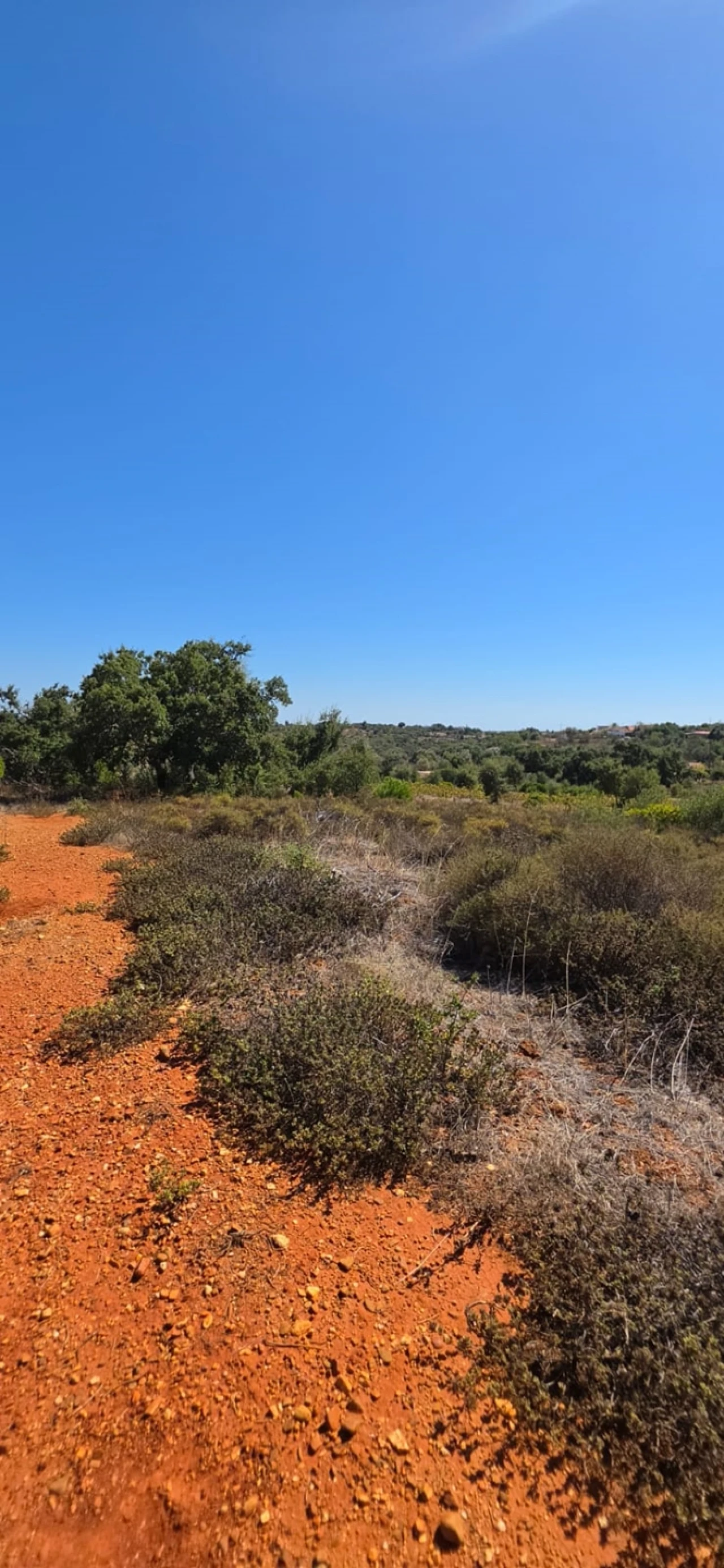 Terreno para Venda em Silves Foto 5
