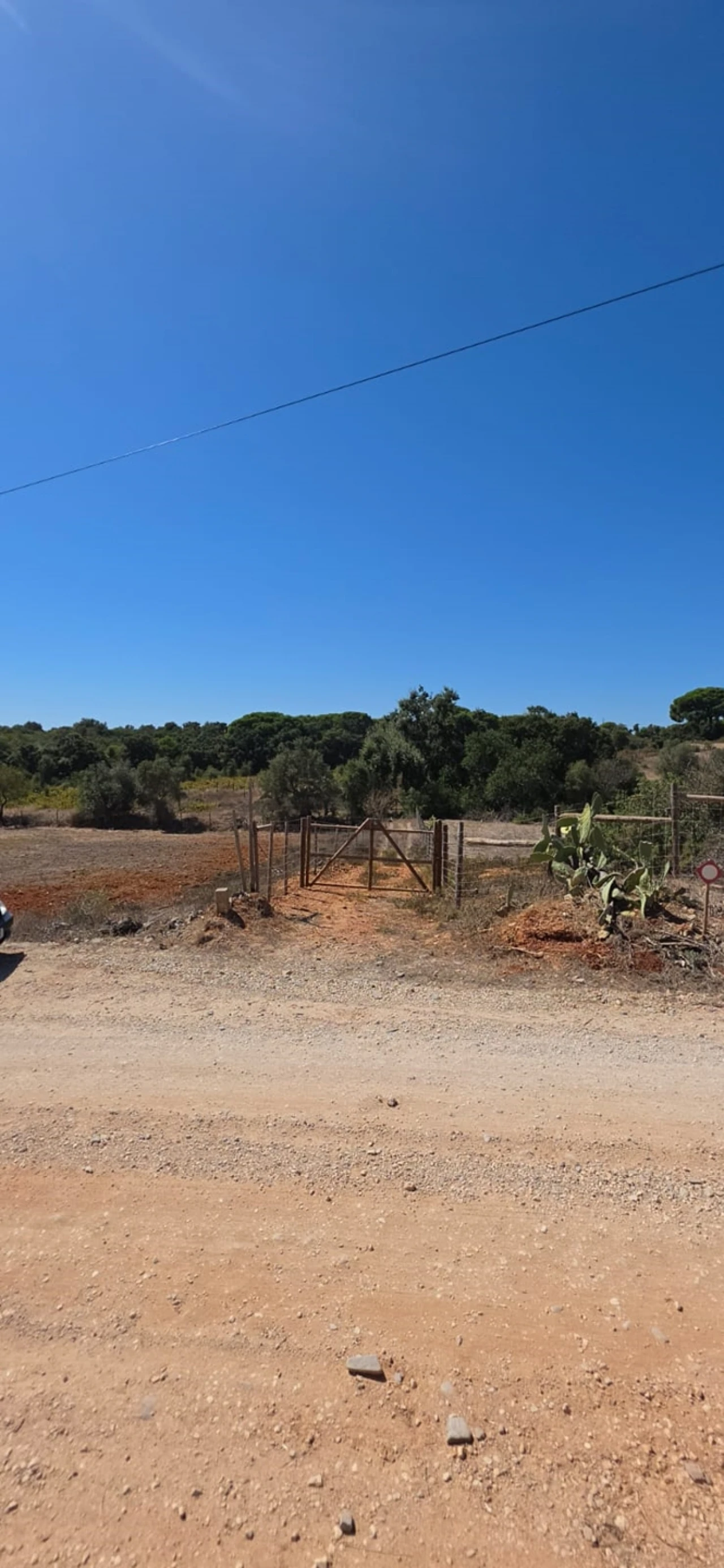 Terreno para Venda em Silves Foto 4
