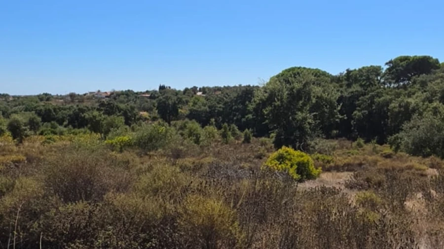 Terreno para Venda em Silves