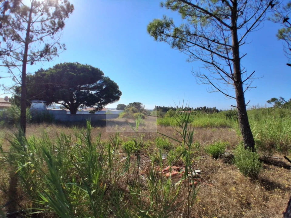 Terreno para Venda em Nadadouro Foto 2